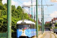 Imagine atasata: IMG_0029.JPG